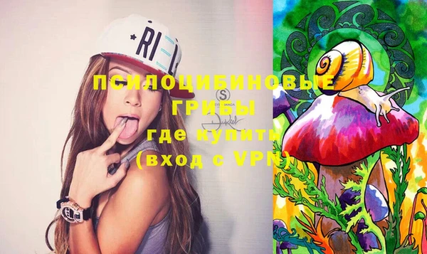 МДПВ Няндома