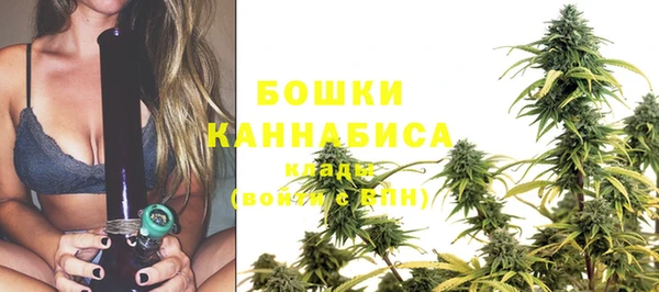 тгк Новодвинск