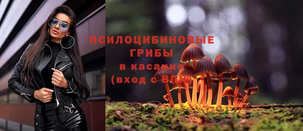 кристаллы Новозыбков
