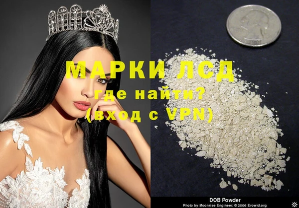 тгк Новодвинск