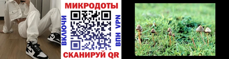 Псилоцибиновые грибы ЛСД  хочу наркоту  Кирс 