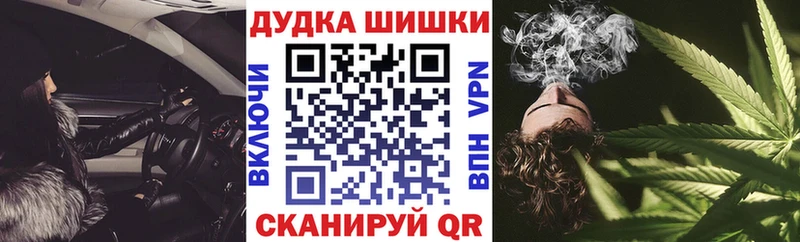 Шишки марихуана семена где купить наркоту Кирс